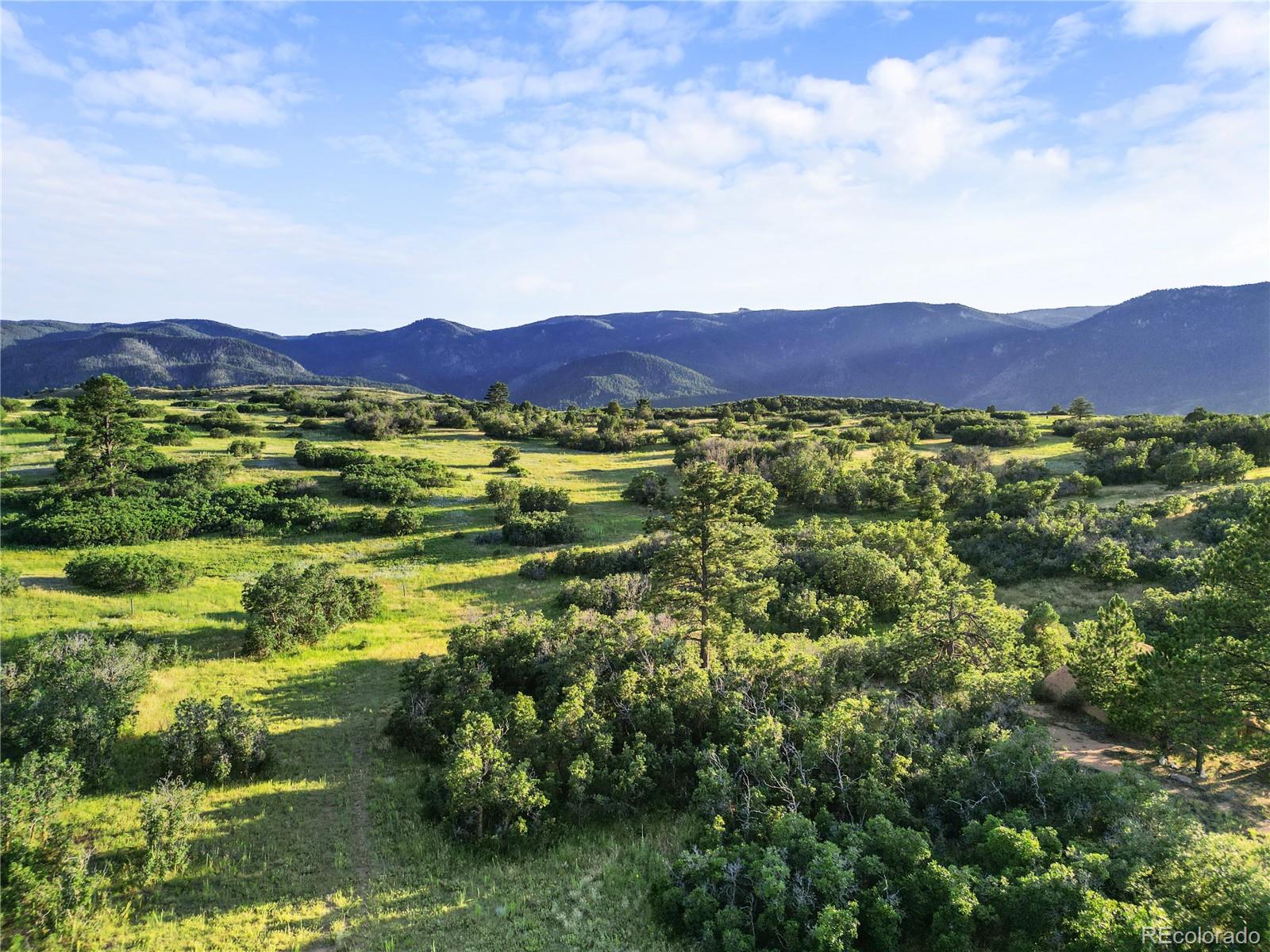 8821 S Perry Park Road