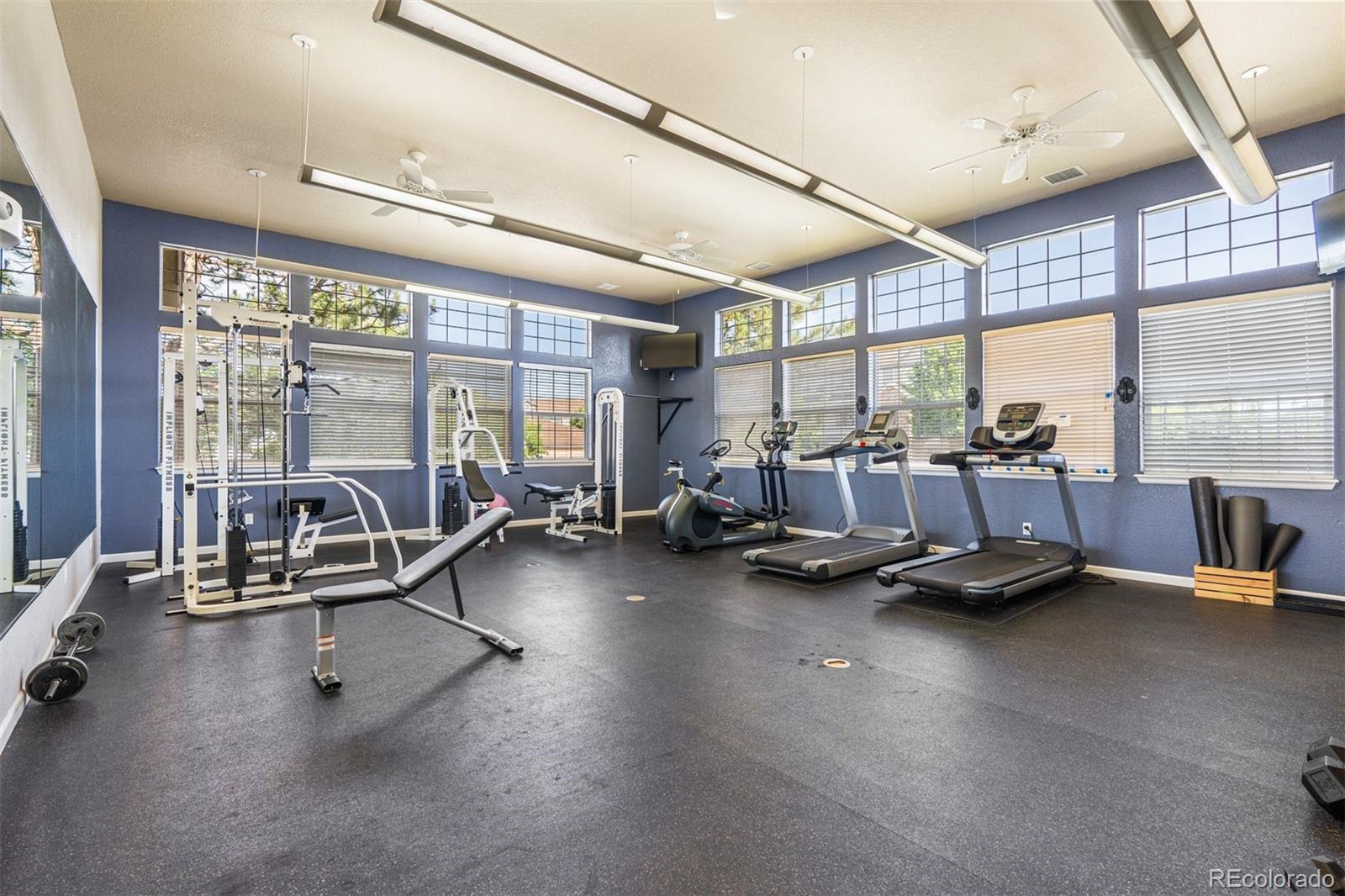 431 Black Feather Loop Unit: 813