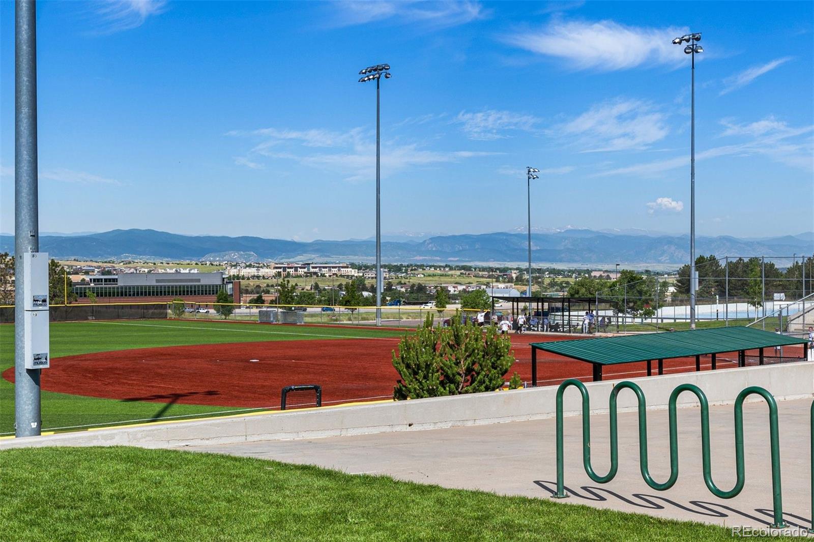 431 Black Feather Loop Unit: 813