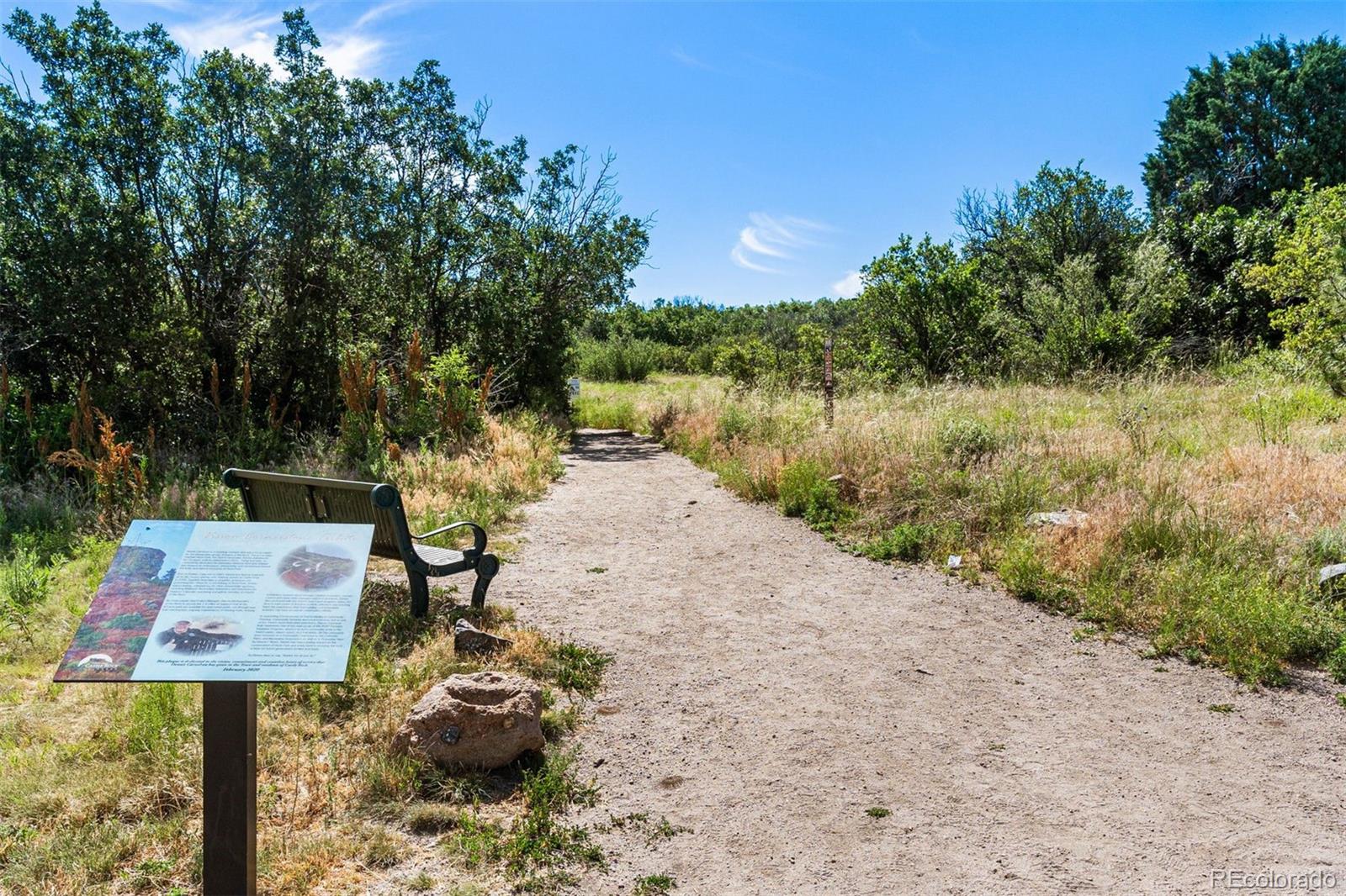 431 Black Feather Loop Unit: 813