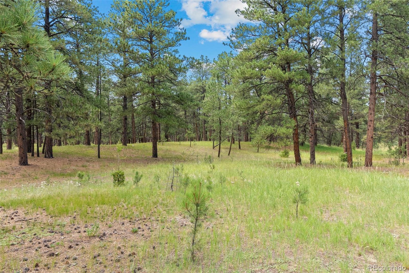 4745 Bonnie Ridge Drive