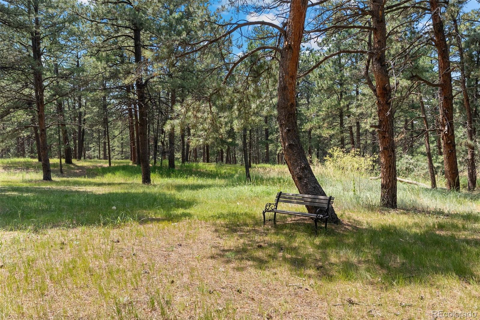 4745 Bonnie Ridge Drive