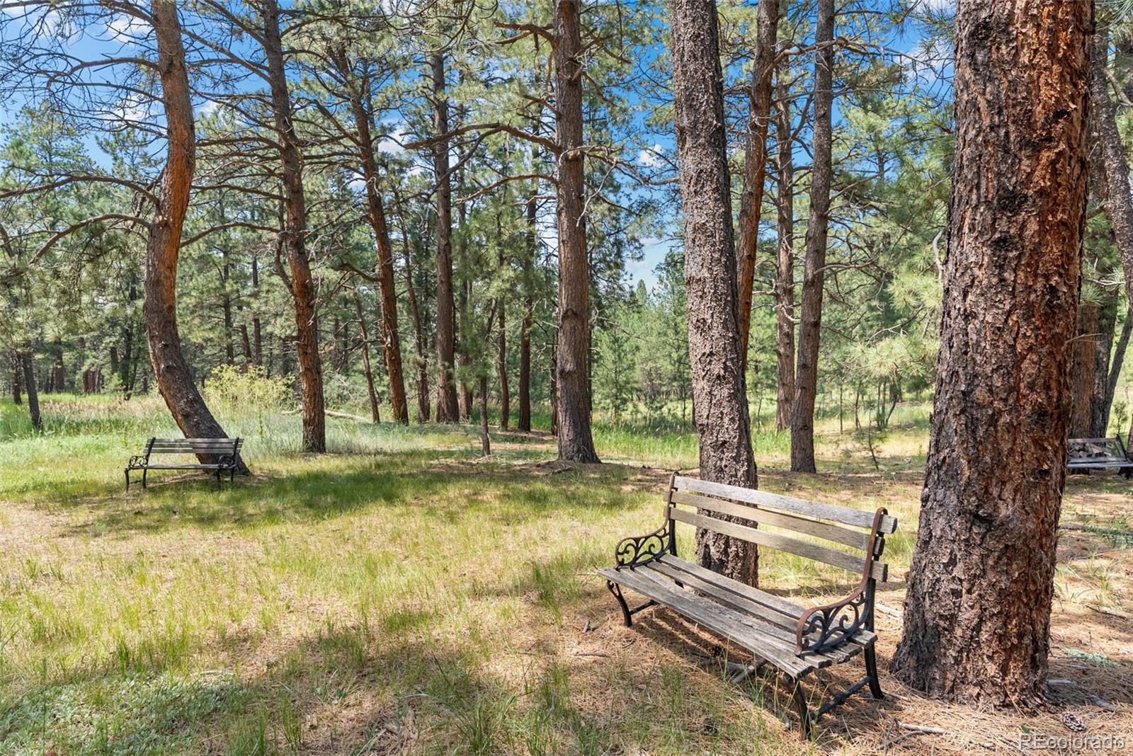 4745 Bonnie Ridge Drive