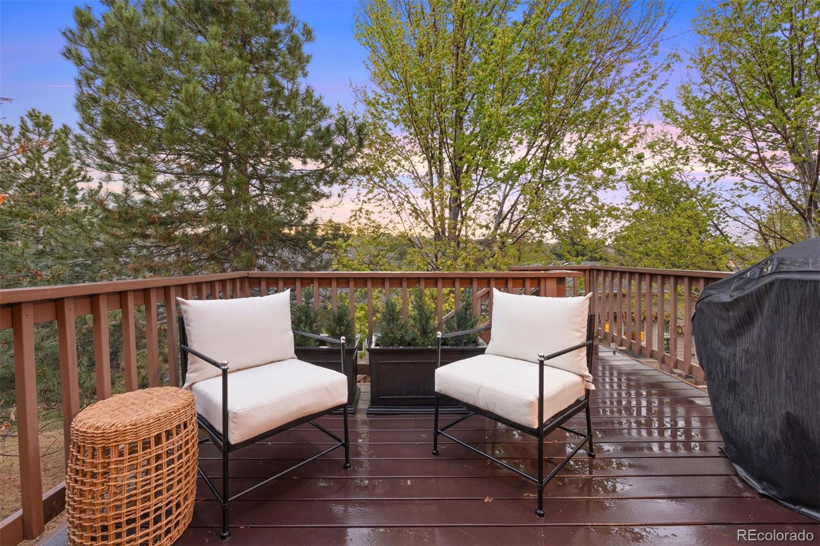 1037 Snow Lily Court