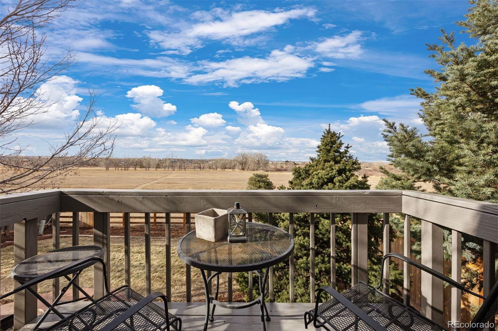 12399 Country Meadows Drive