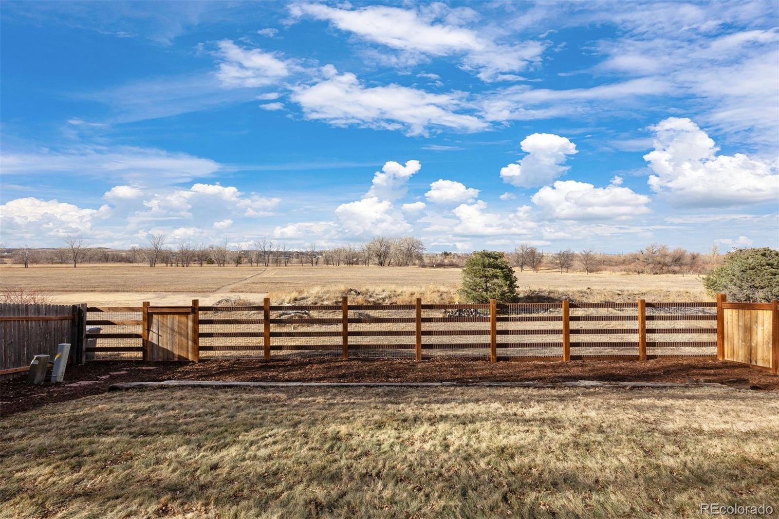 12399 Country Meadows Drive