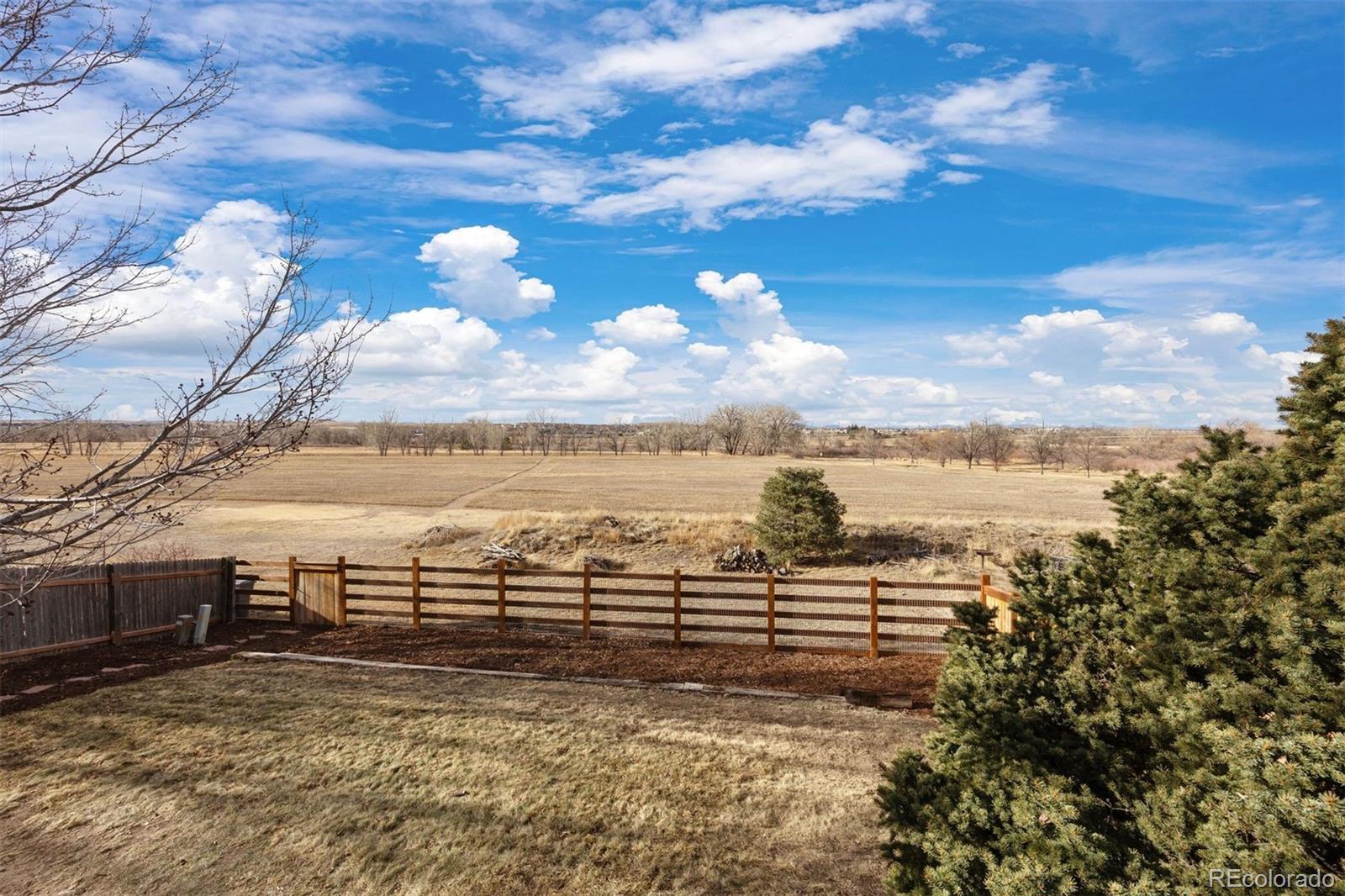 12399 Country Meadows Drive