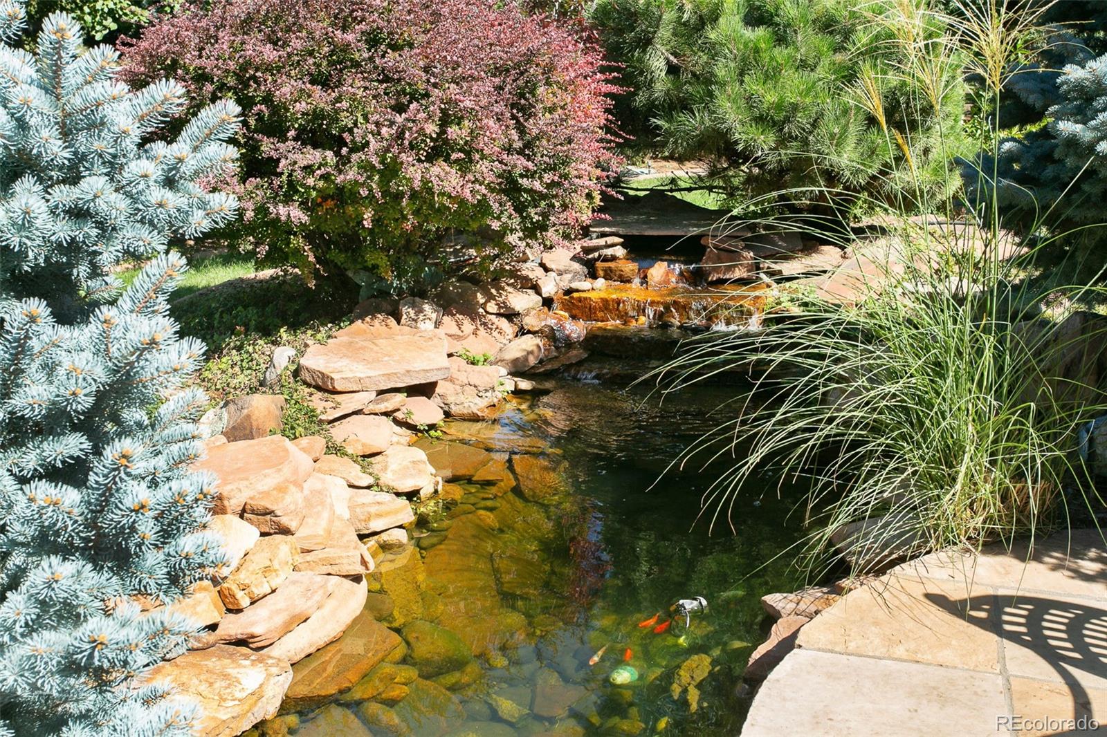 4443 W Cottonwood Place