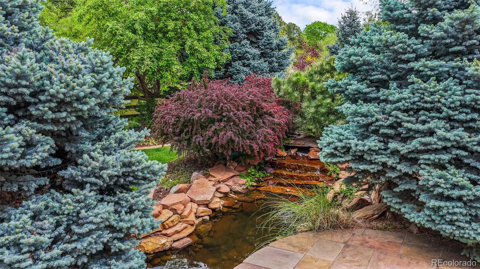 4443 W Cottonwood Place