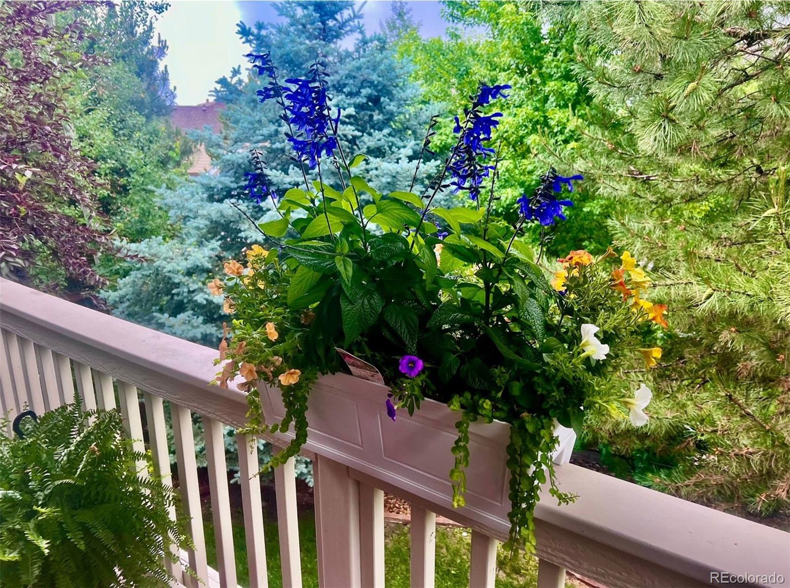 25045 E Park Crescent Drive