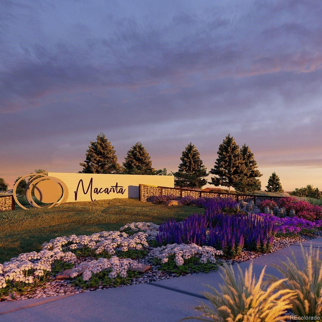 3375 Offbeaten Place