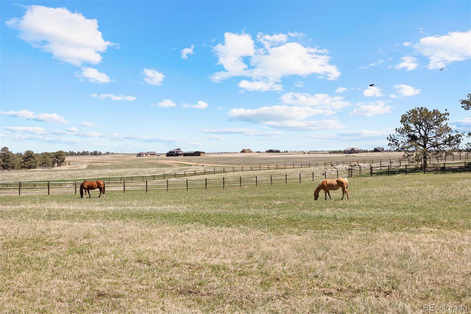 10345 Little Moon Trail