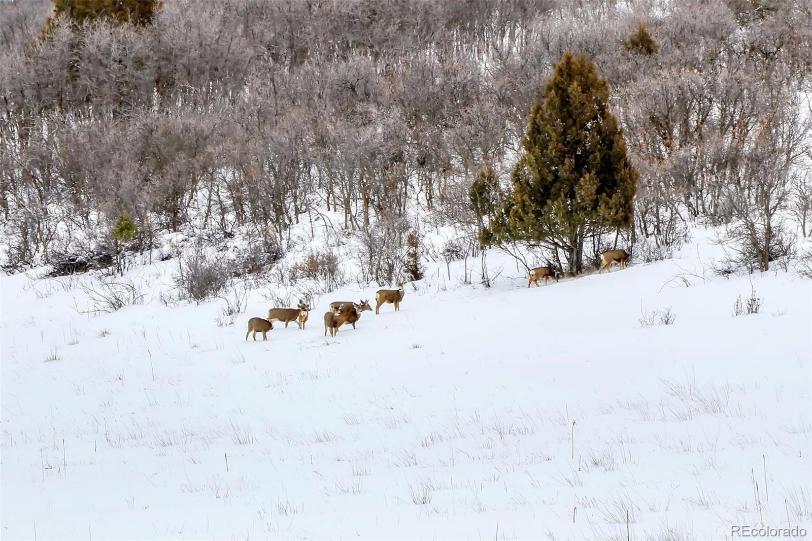 0000 Echo Valley Road