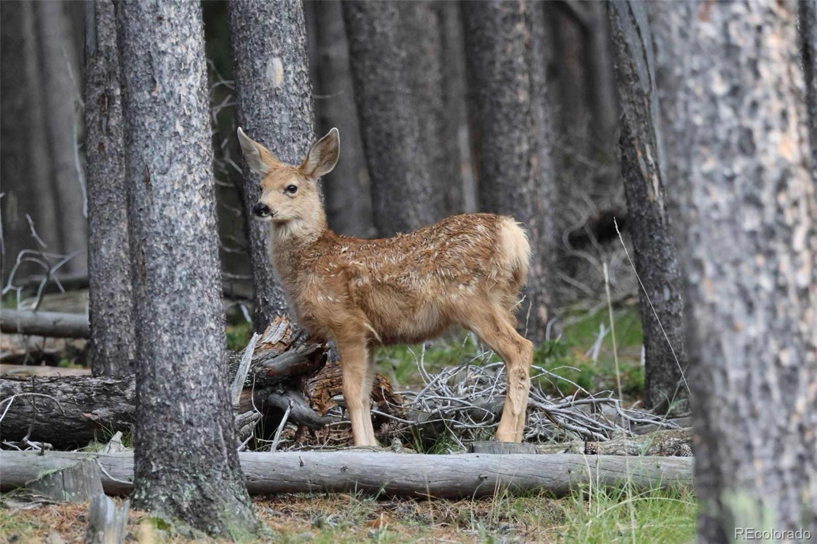 26269 Richmond Hill Road