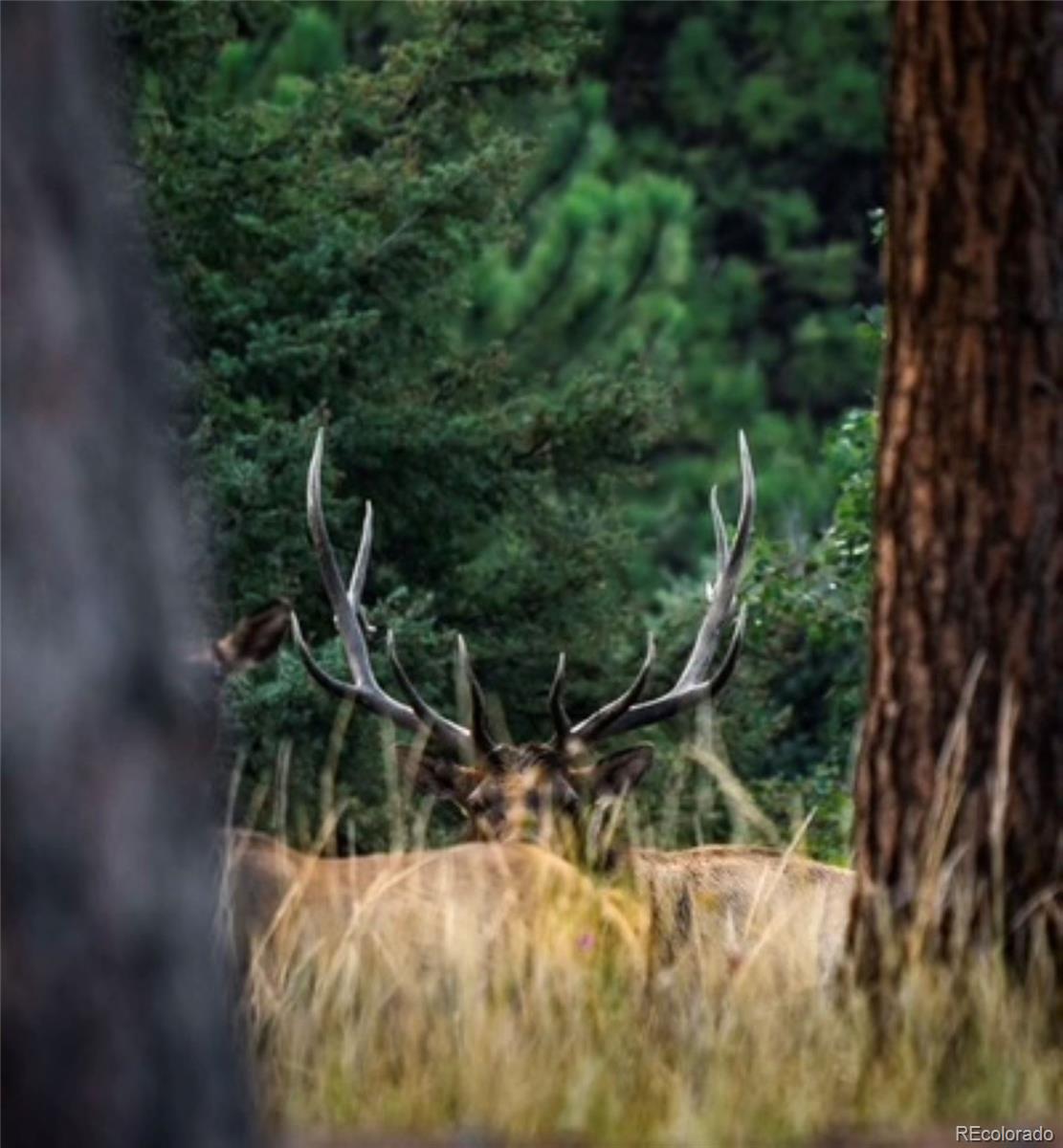 26269 Richmond Hill Road