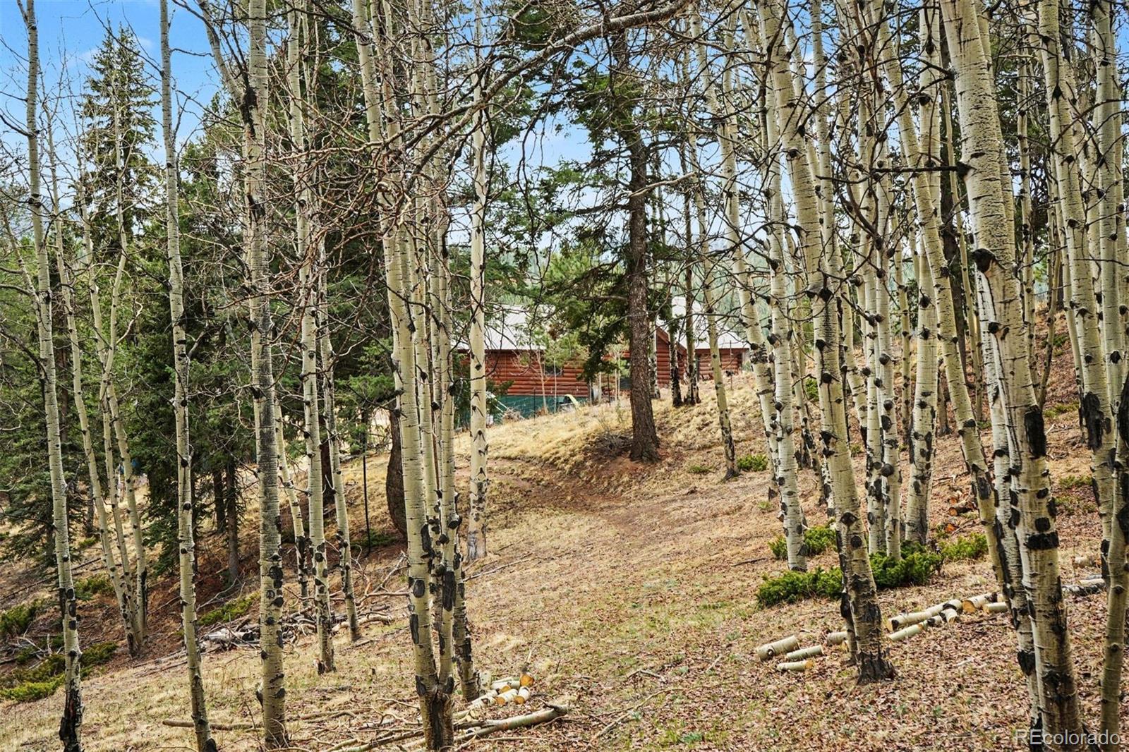 220 Rocky Mountain View
