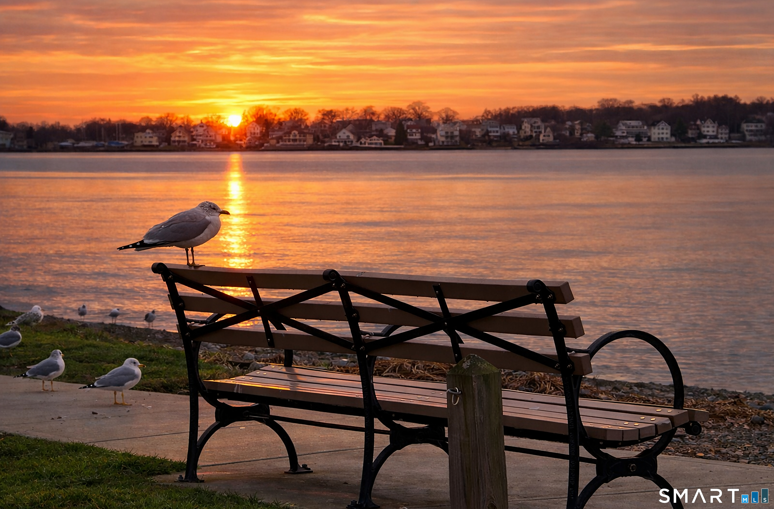 24 Woodward Avenue APT 46