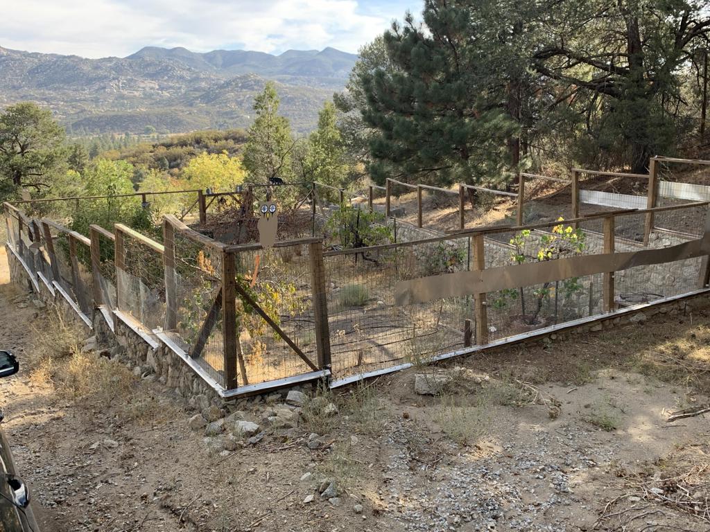 36796 Goldshot Creek Road