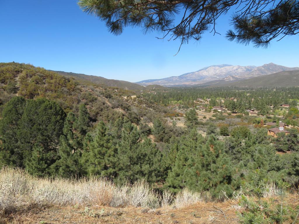 36796 Goldshot Creek Road