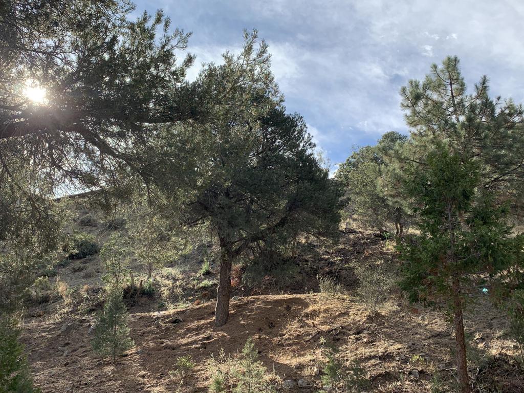 36796 Goldshot Creek Road