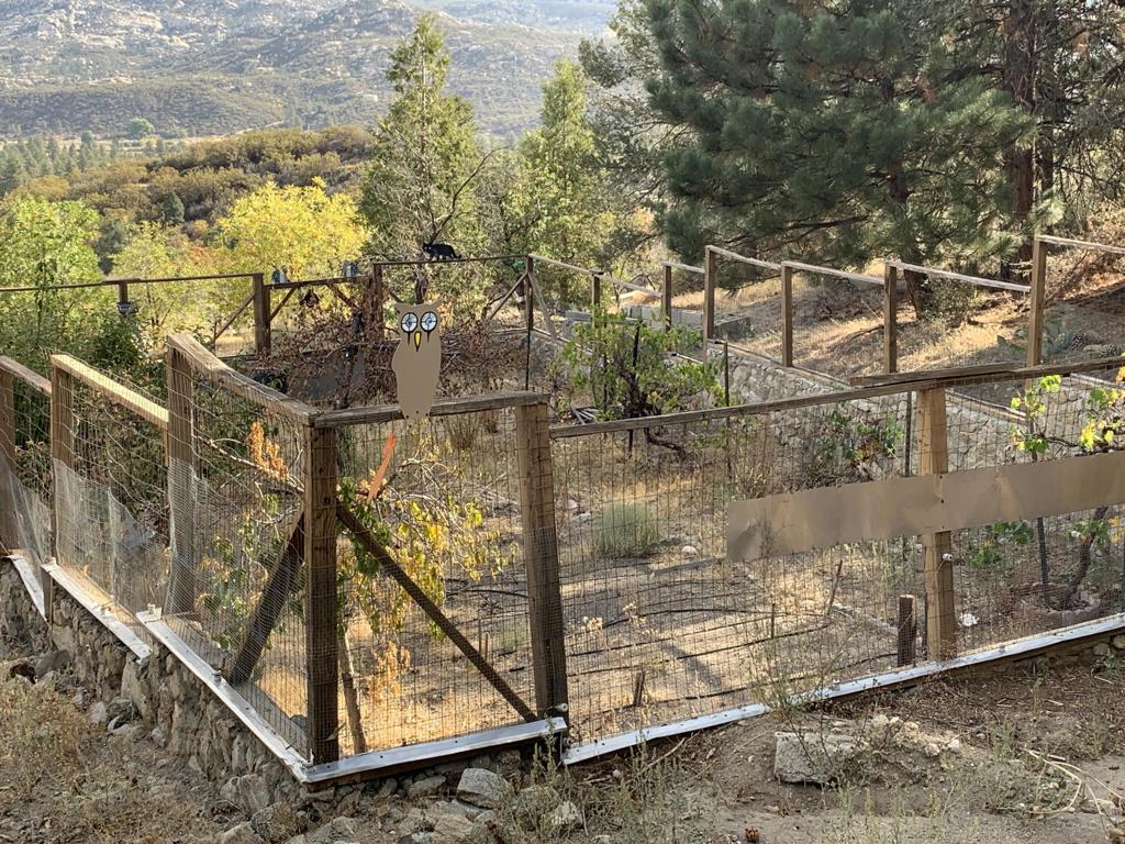 36796 Goldshot Creek Road