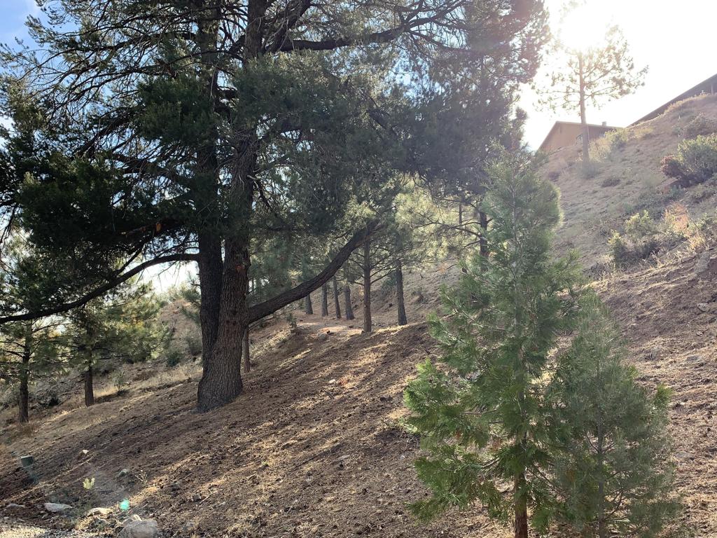 36796 Goldshot Creek Road