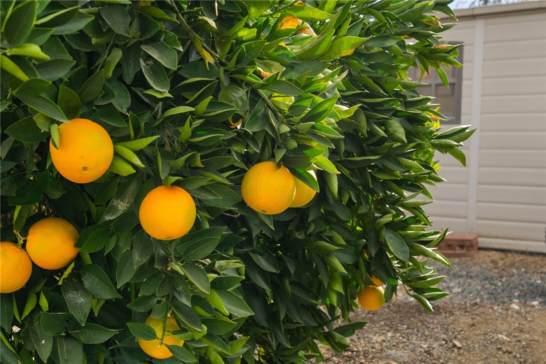 26971 Pinehurst Road