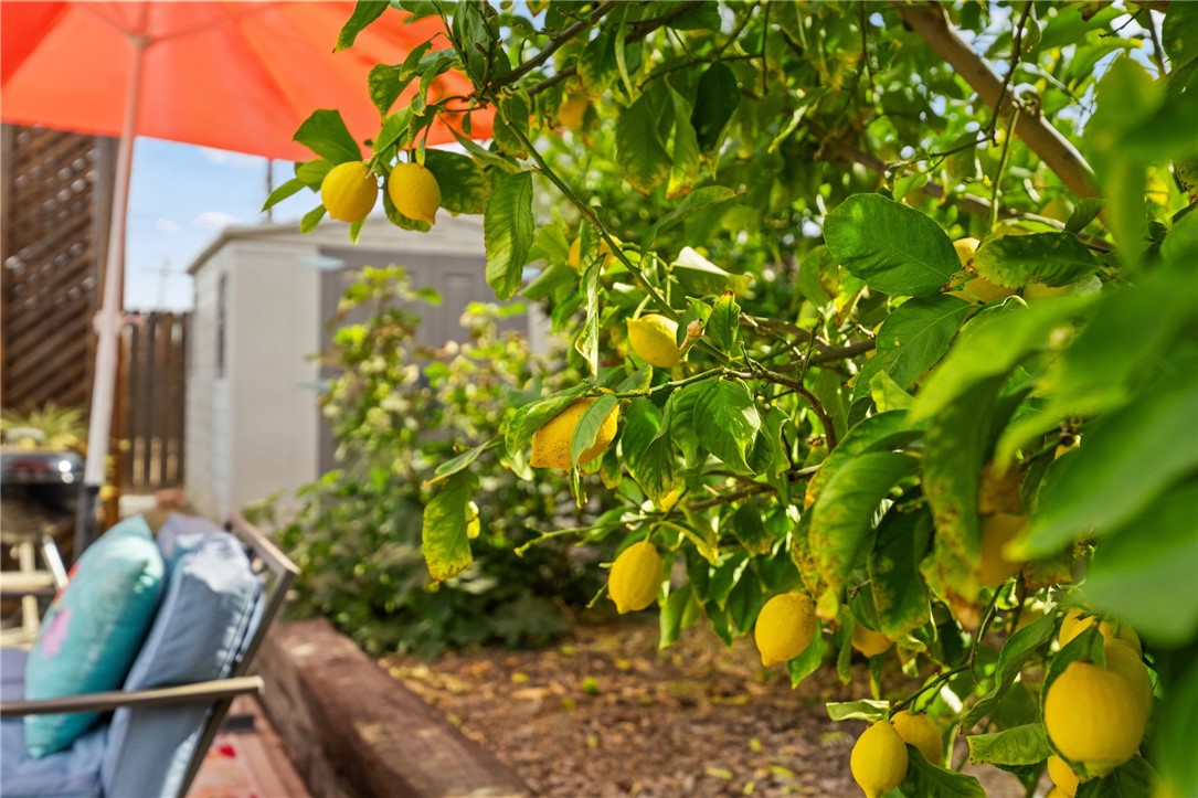 26971 Pinehurst Road