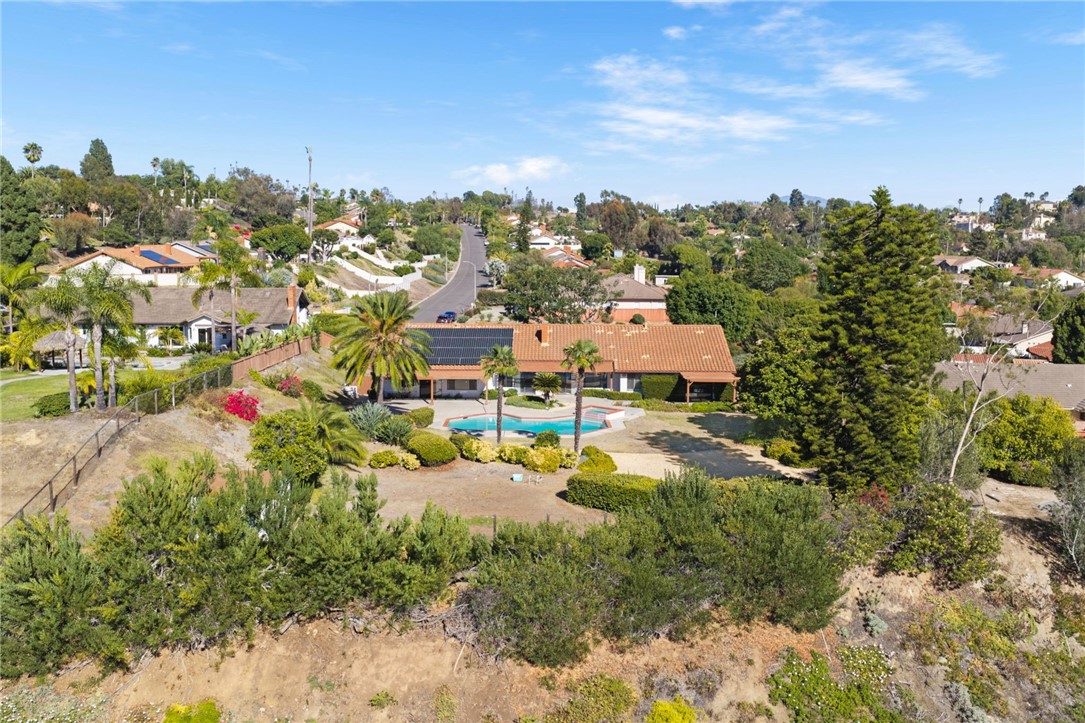 2415 Eucalyptus