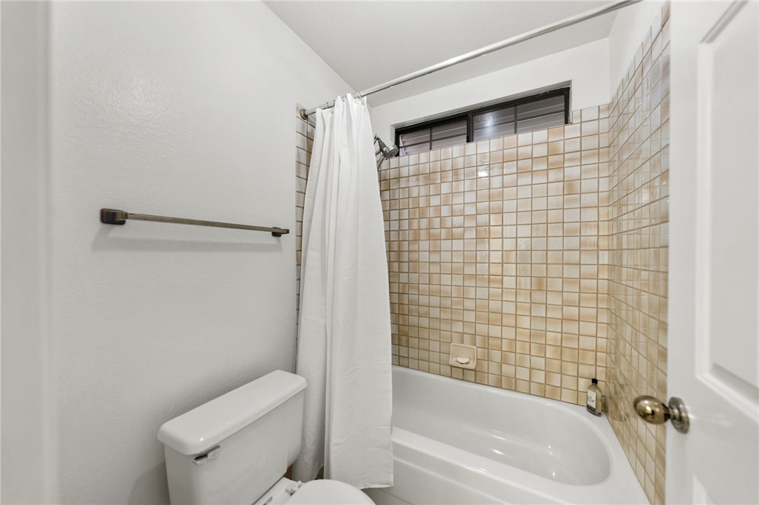 2415 Eucalyptus