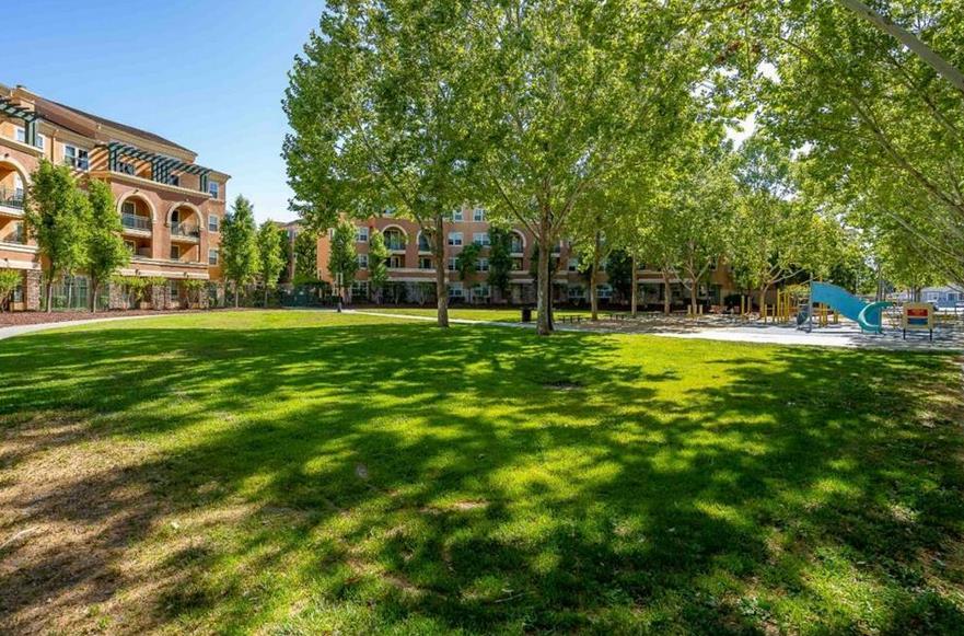 1390 Saddle Rack ST 424