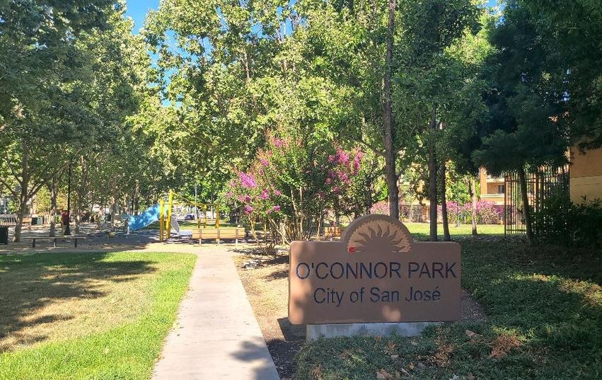 1390 Saddle Rack ST 424