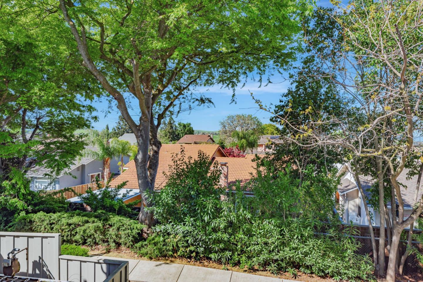 5351 Cribari Dell