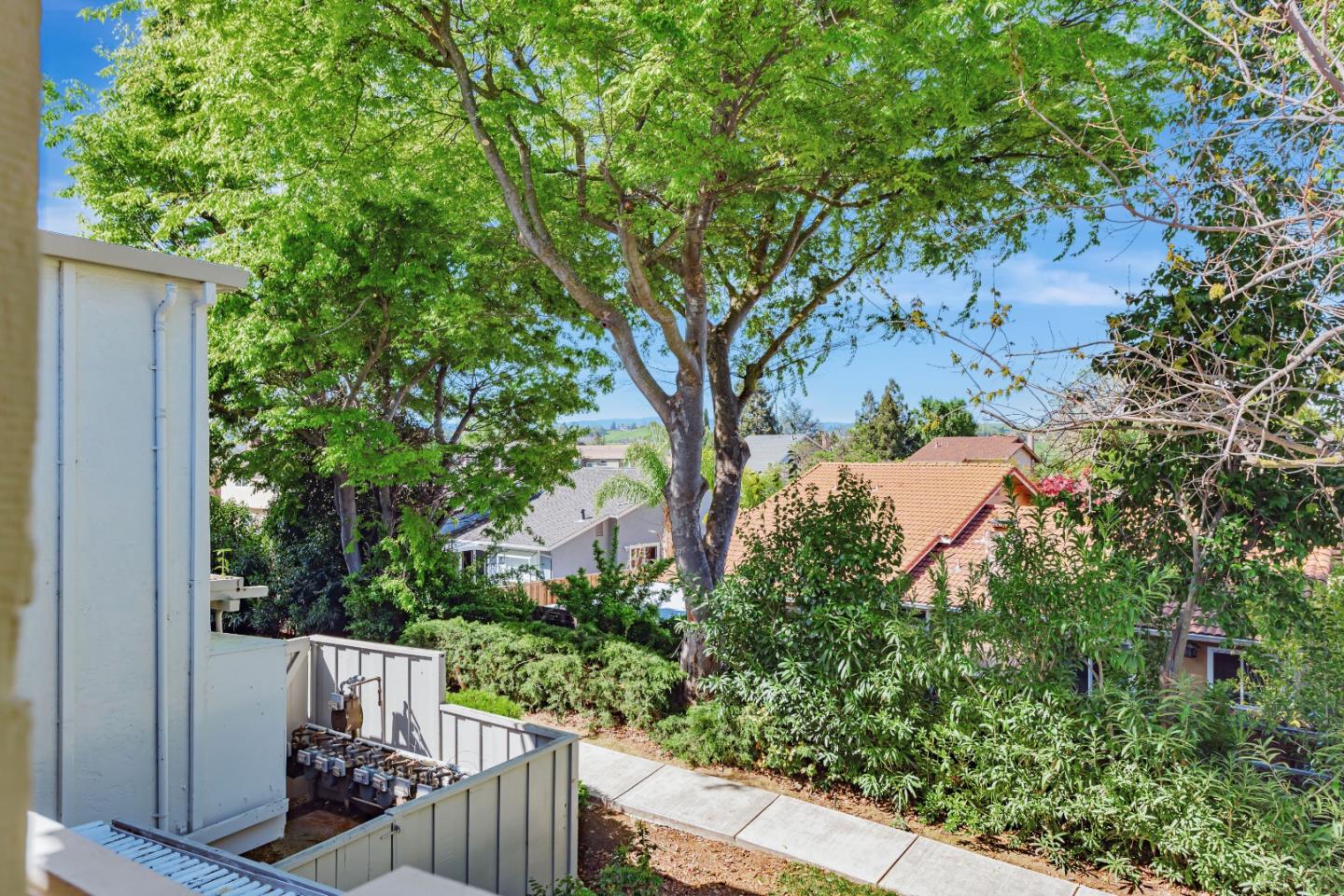 5351 Cribari Dell