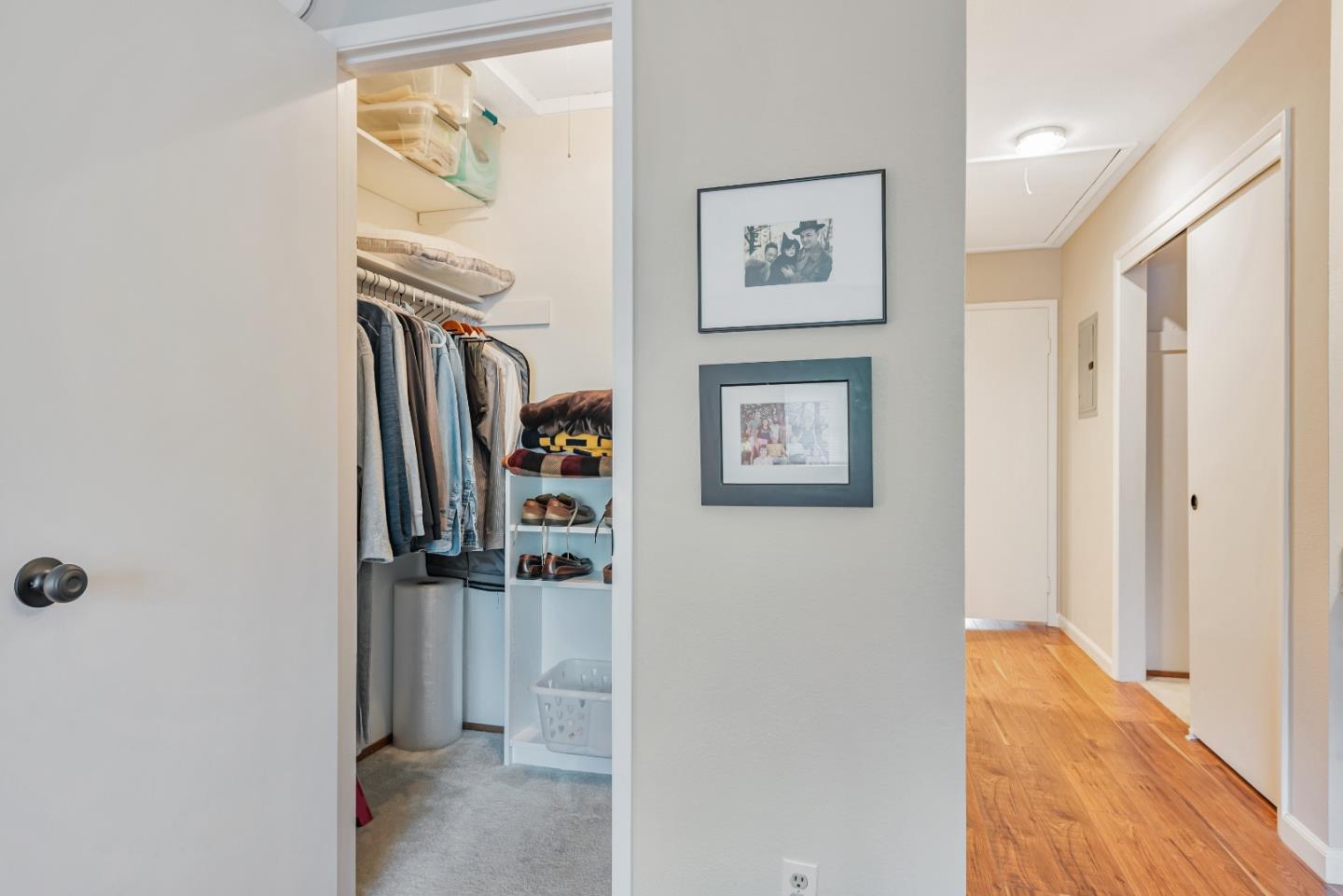 5351 Cribari Dell