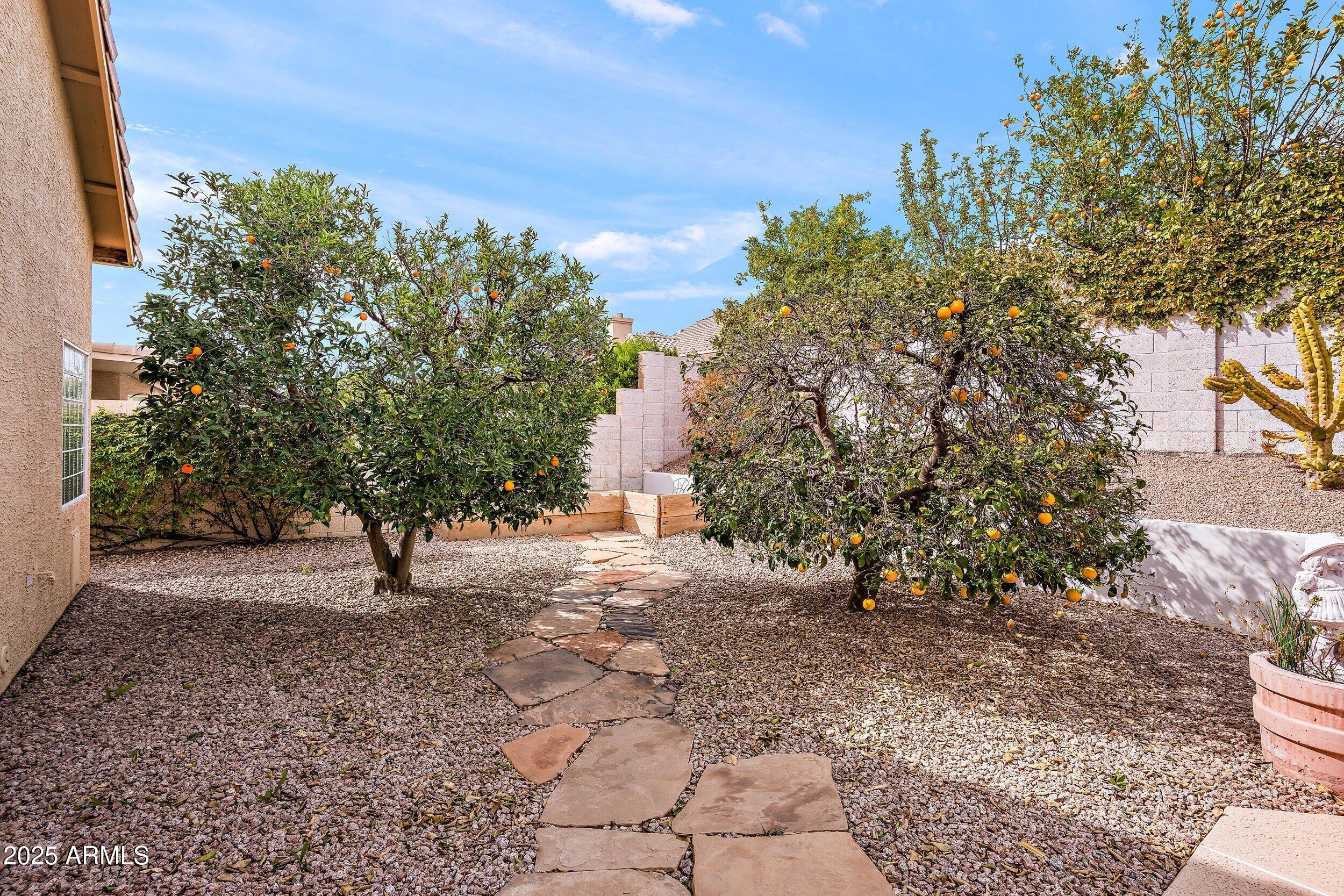 11136 E GREYTHORN Drive