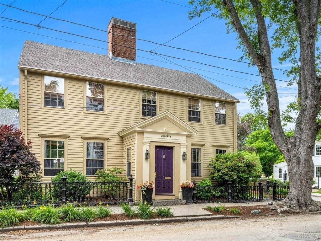 26 Olive St