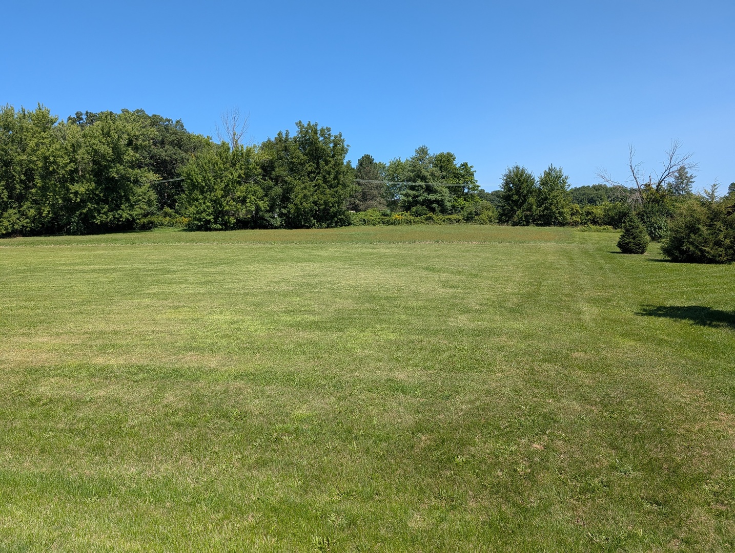 323 Forestcliff Court