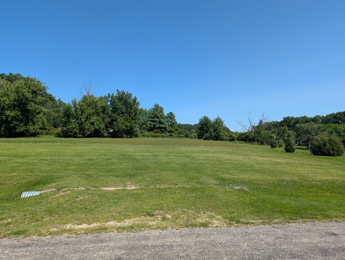 323 Forestcliff Court