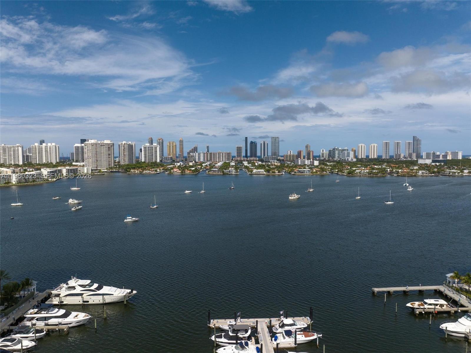 17111 Biscayne Blvd # 207