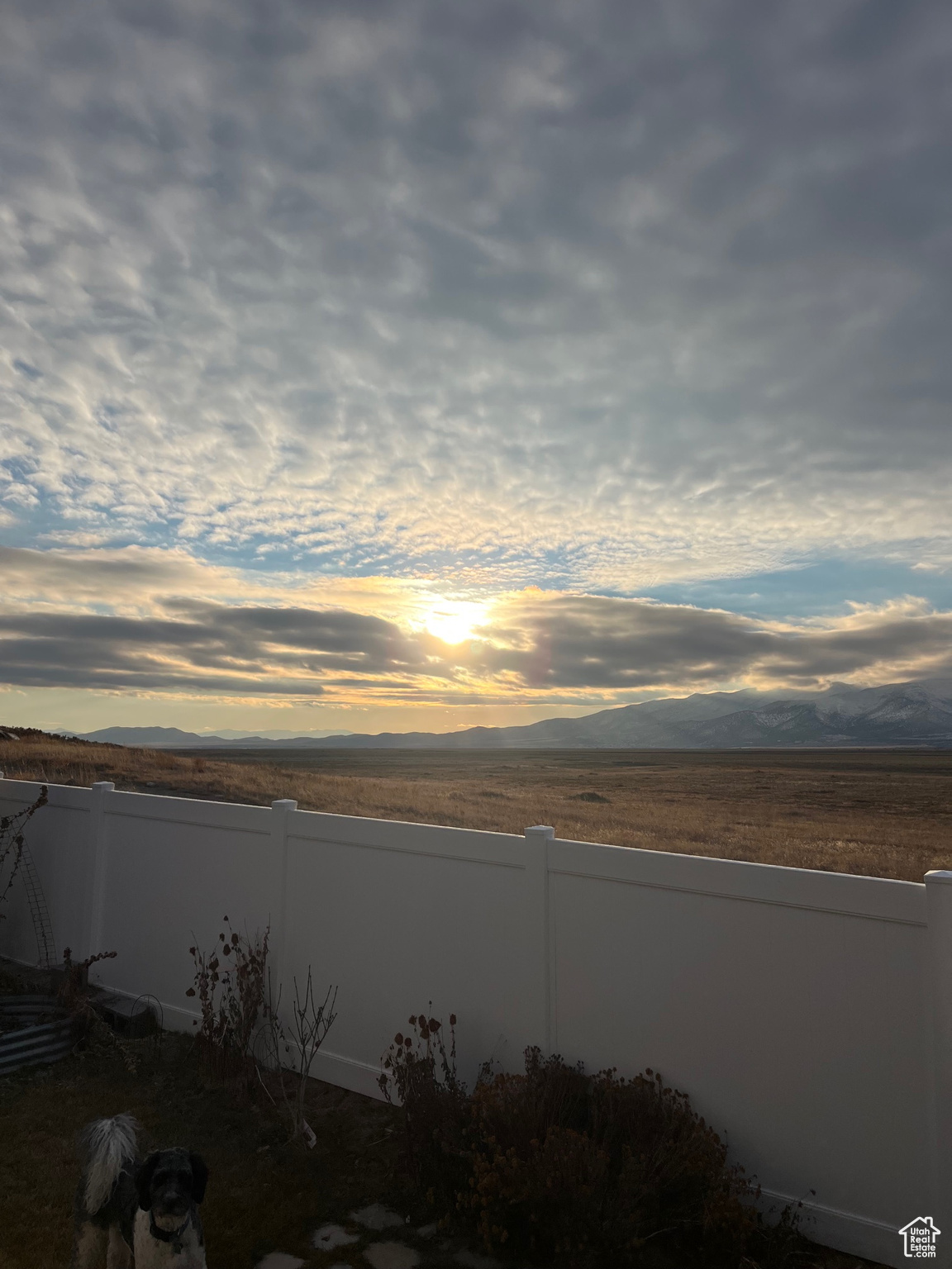 7747 N SEABISCUIT RD