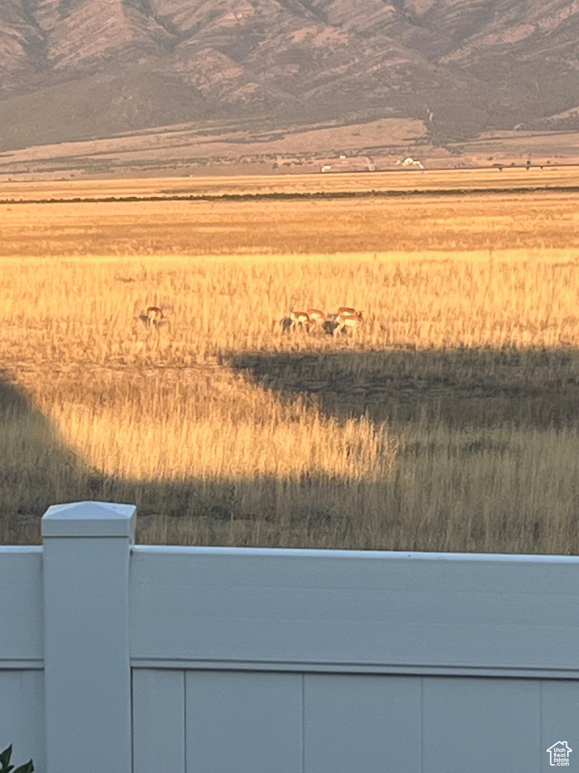 7747 N SEABISCUIT RD