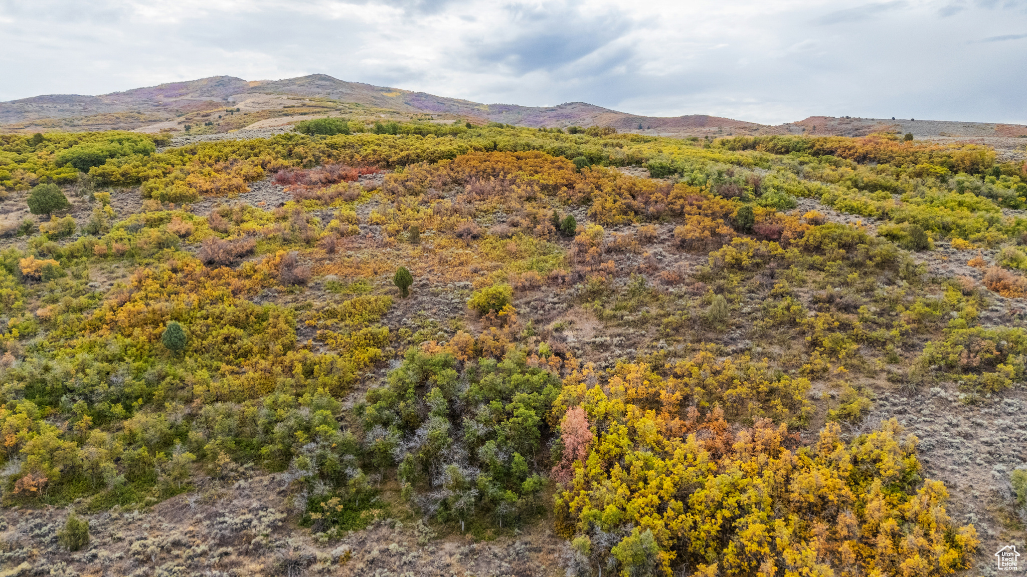 1878 S REMUDA RUN CT