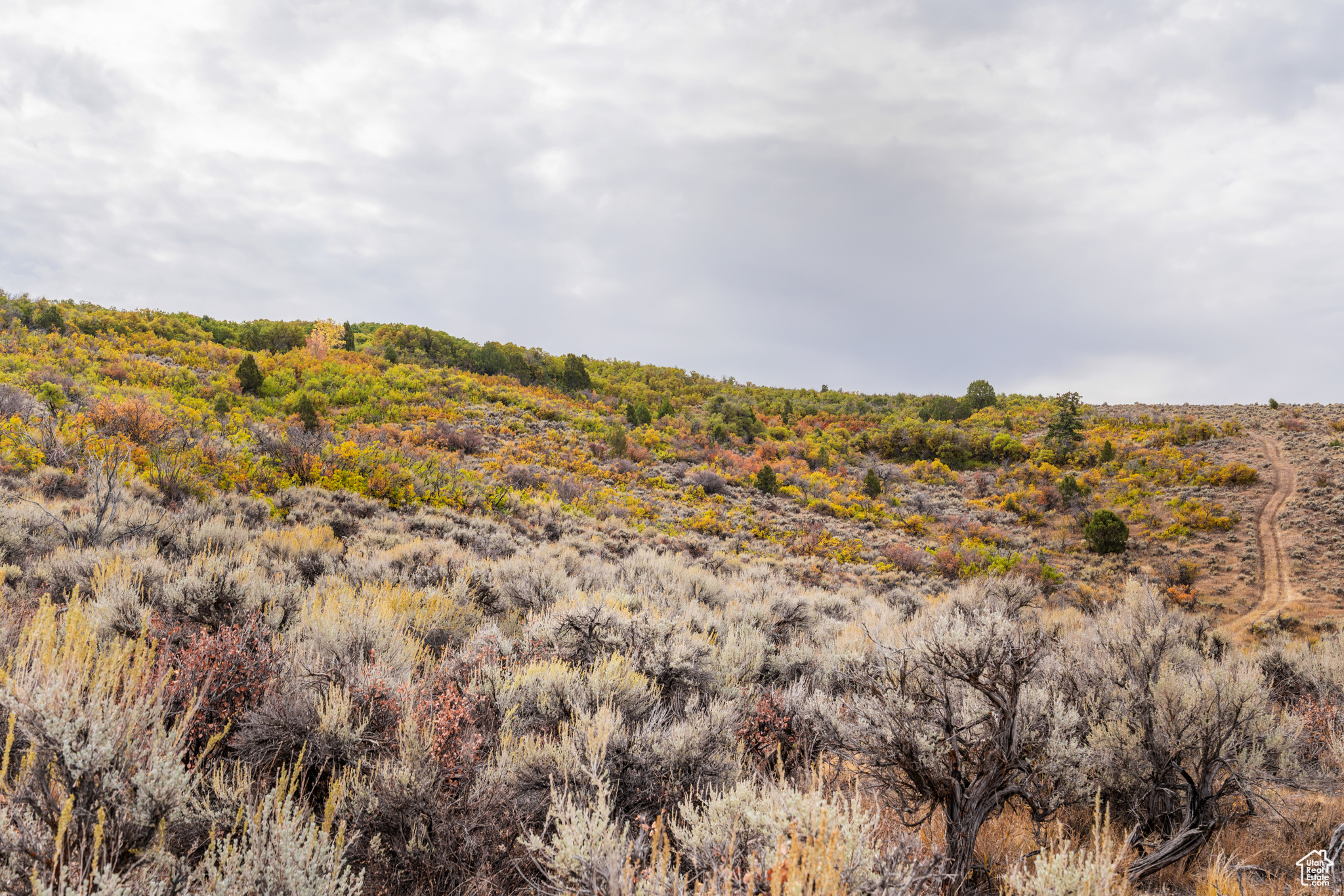 1878 S REMUDA RUN CT