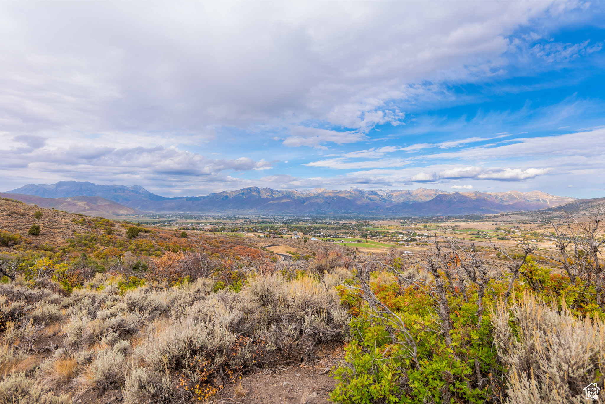 1878 S REMUDA RUN CT