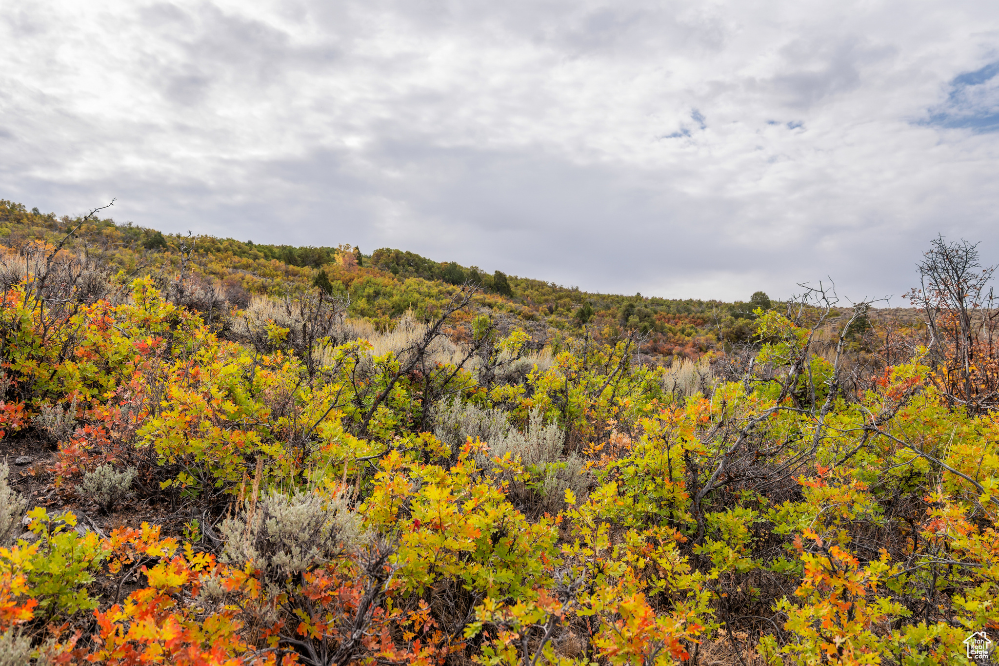 1878 S REMUDA RUN CT