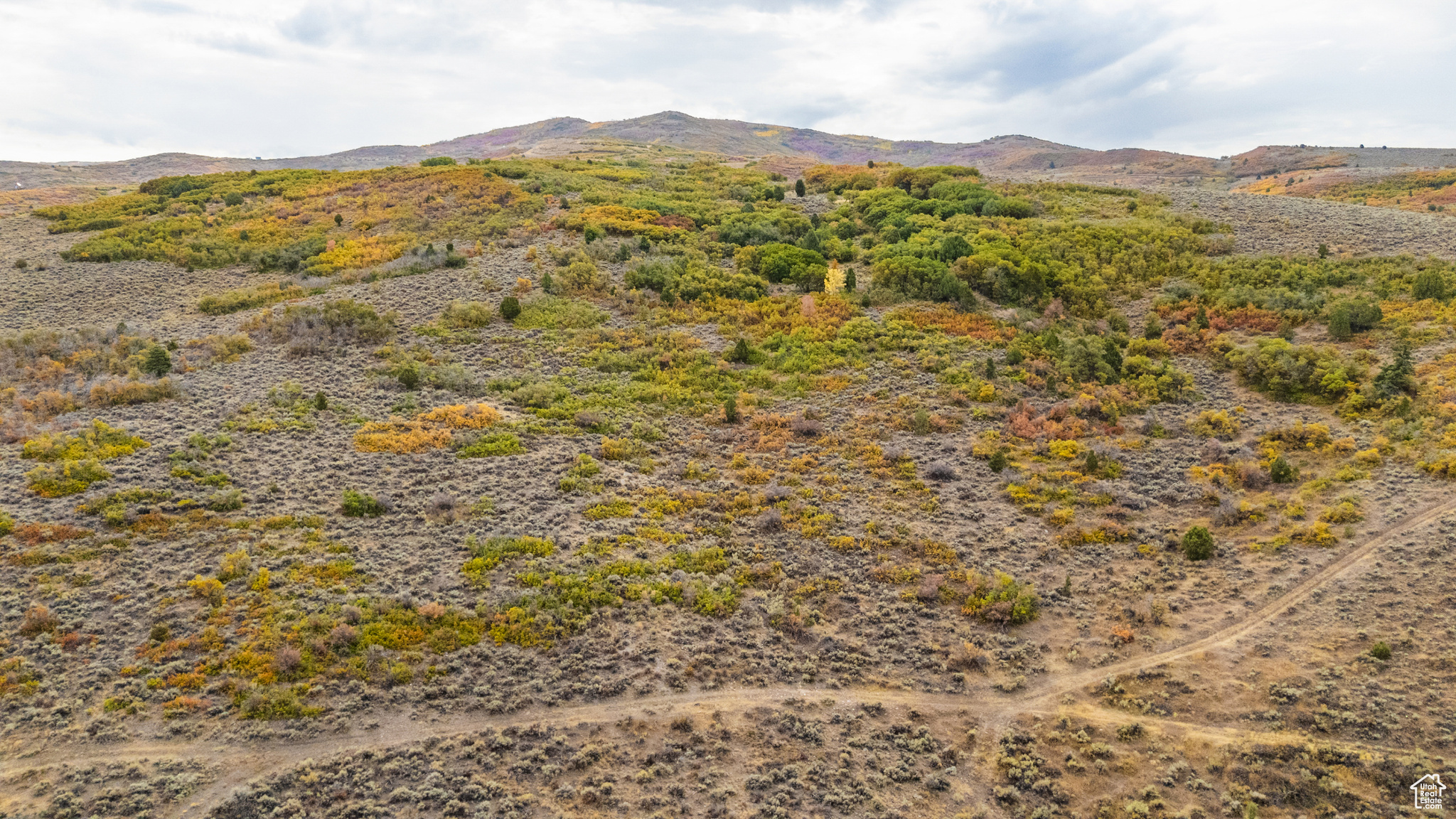 1878 S REMUDA RUN CT