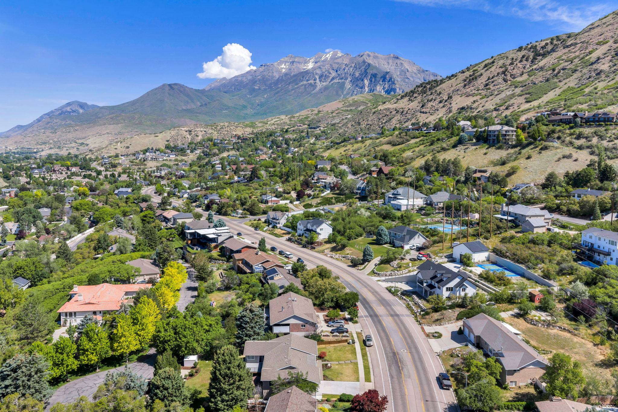 3813 N FOOTHILL DR