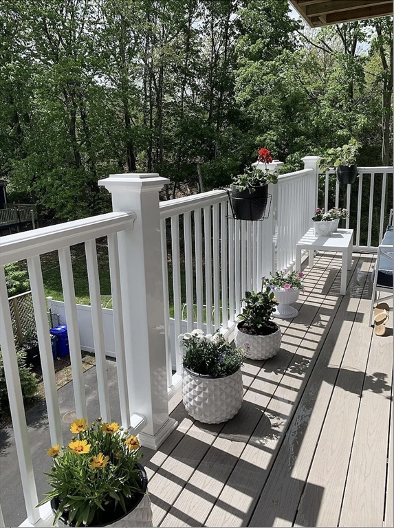 34 Colgate Road # 2