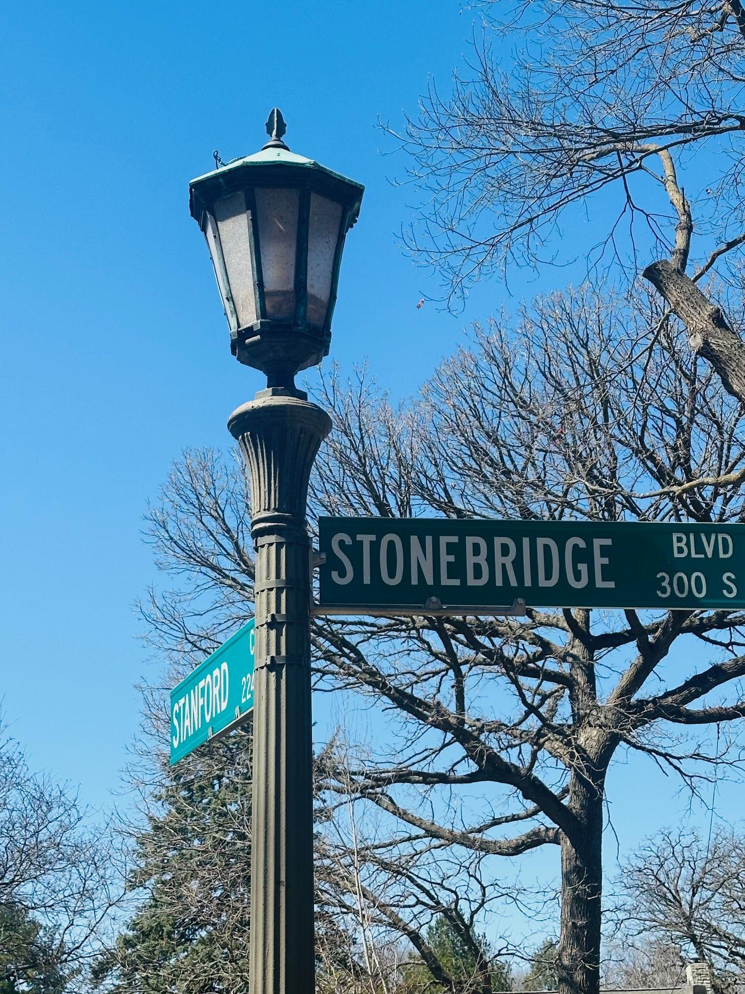 313 Stonebridge Boulevard